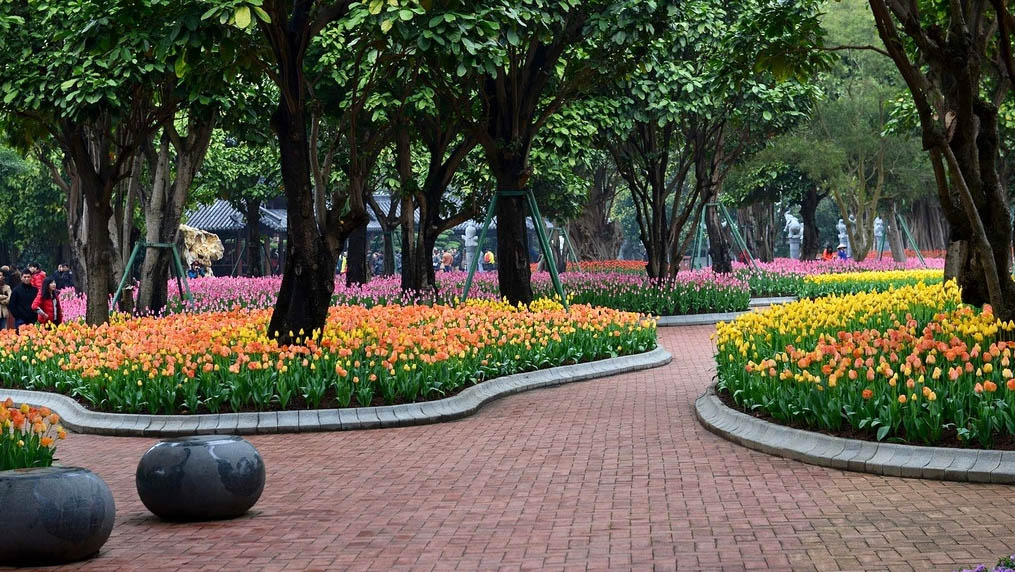 抗阻导引治疗糖尿病视频合集,怎样练好导引养生功12法