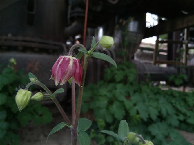 乐视2手机质量怎么样,乐视手机2pro稳定版