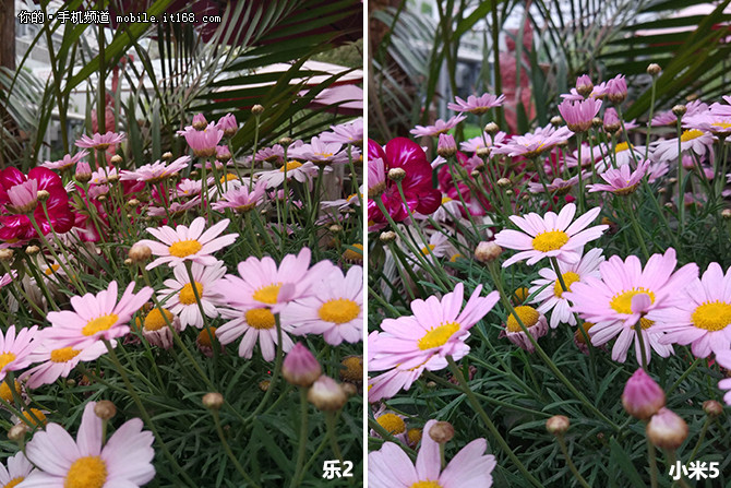 乐视2手机质量怎么样,乐视手机2pro稳定版