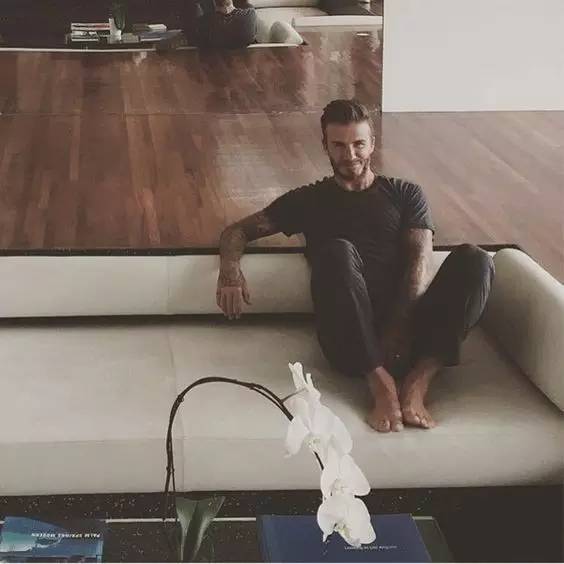 要有多优质，才能和贝克汉姆做邻居。