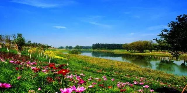 天津郊游野餐的地方,天津野餐