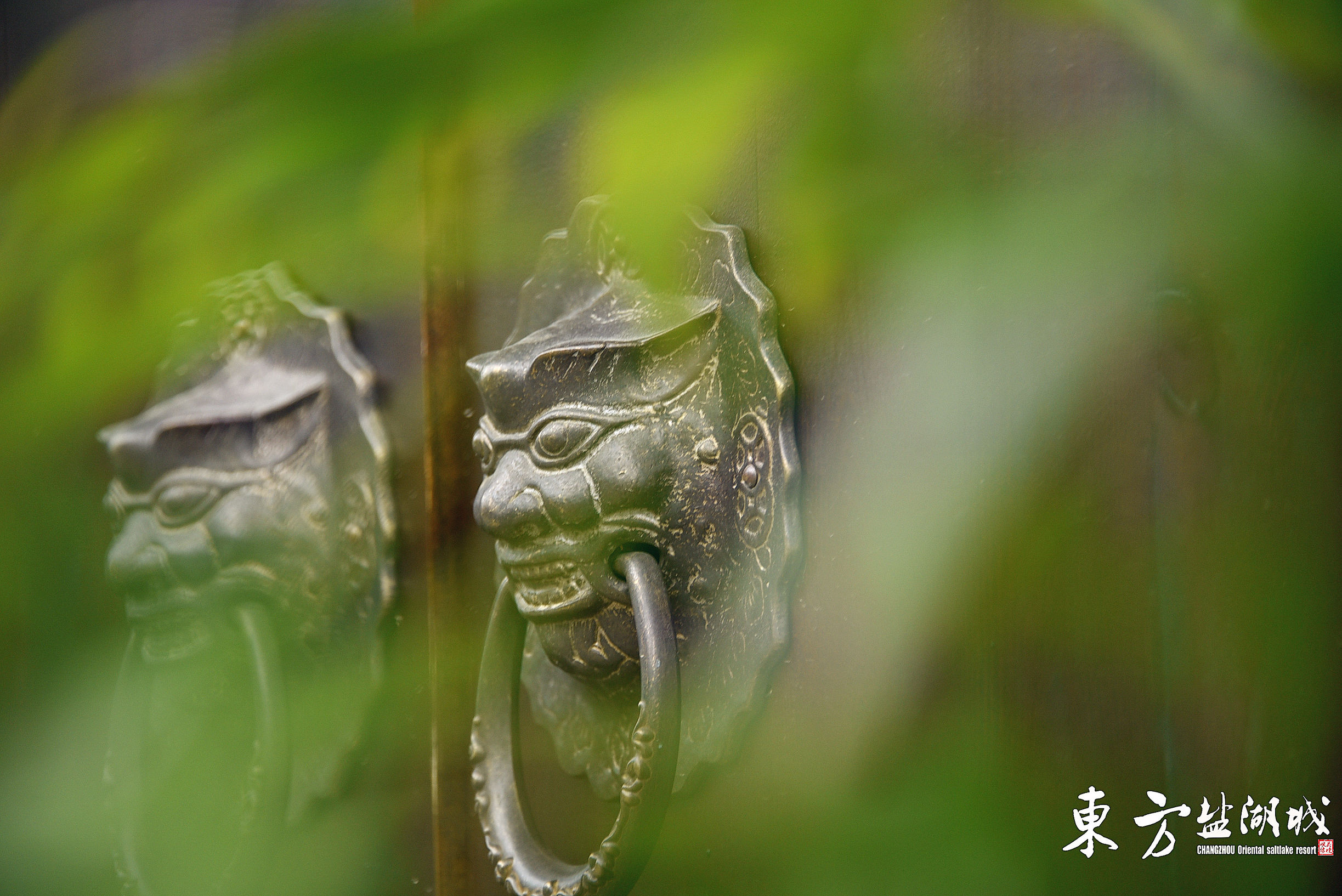 梦入桃花源现代版,梦入桃花源完整版