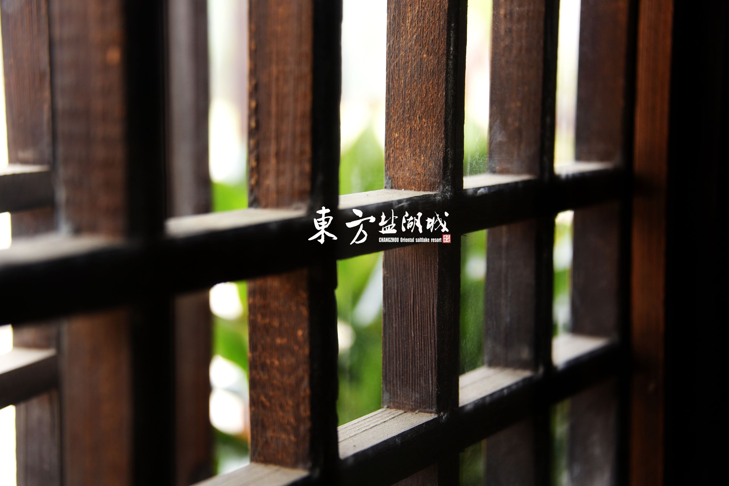 梦入桃花源现代版,梦入桃花源完整版