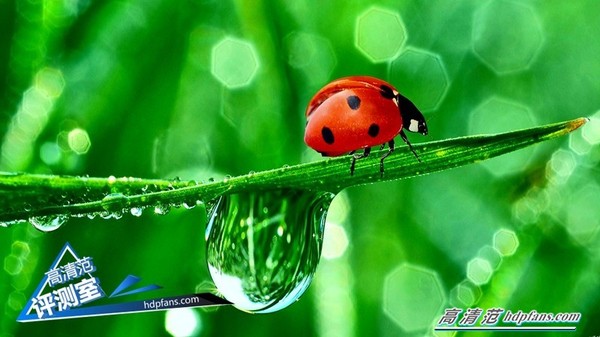 海美迪q5开箱视频,海美迪q5四代画质调整