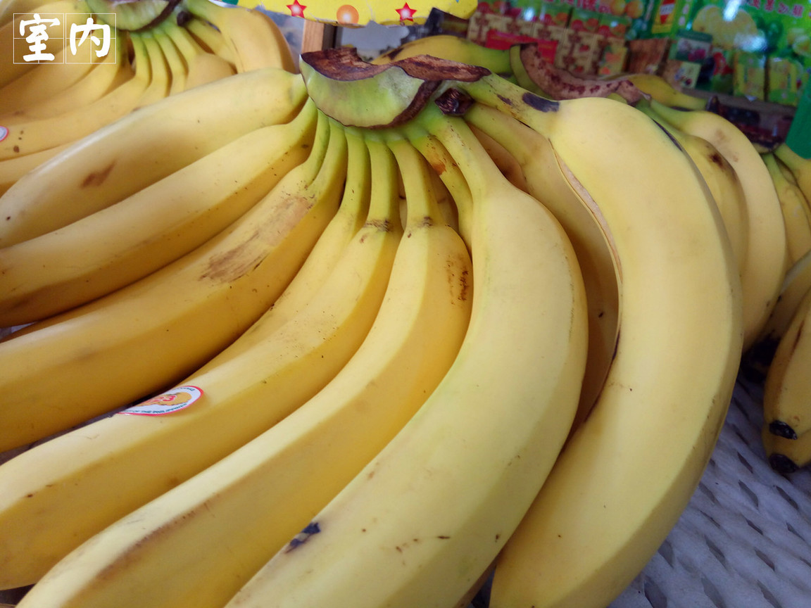 4在必得：360手机F4全体验