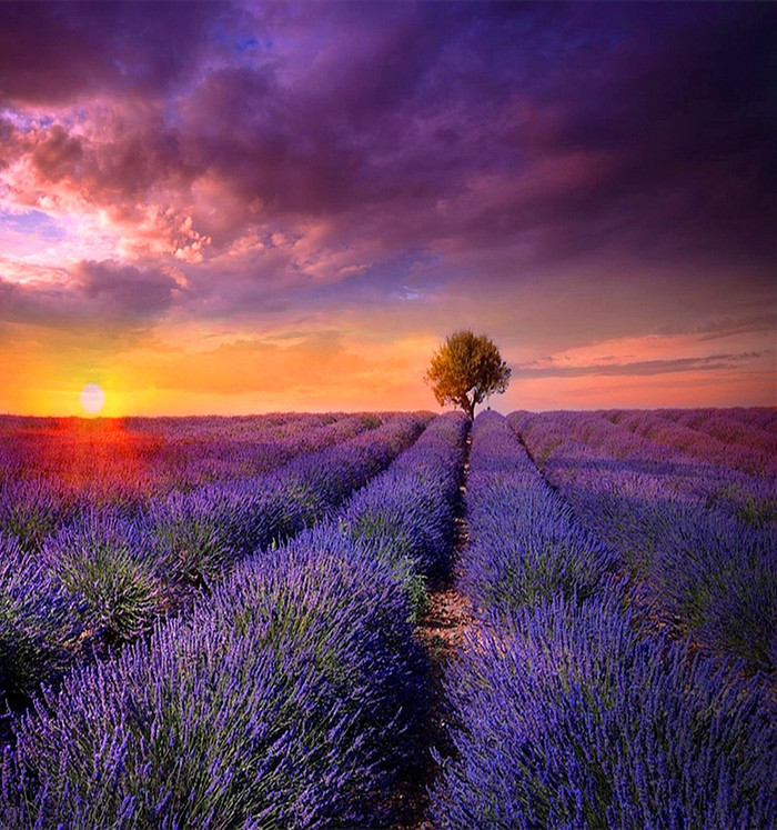 分享一首好听带有魔性的音乐,分享一首好听古风歌曲