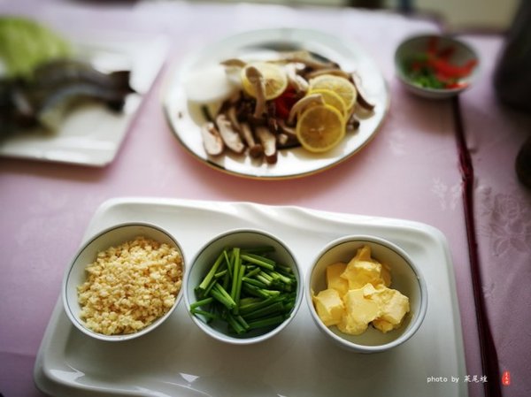 珊瑚海日本,陪你去看海底世界