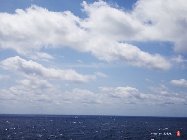 珊瑚海日本,陪你去看海底世界