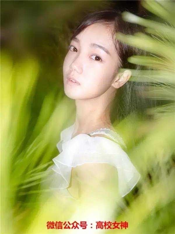 张雪迎十五年等待候鸟照片,十五年等待候鸟张雪迎孙怡