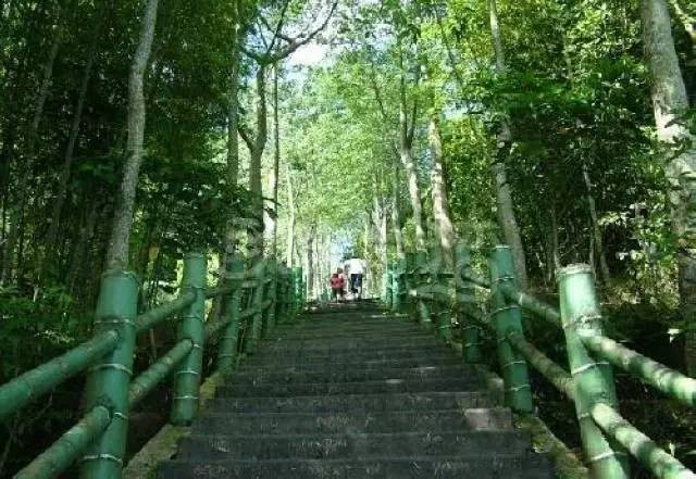 从茂名至广西一日游攻略,广西一日游攻略