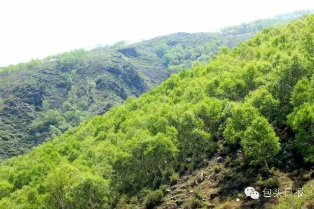 包头空气清新的地方,包头五一游玩好去处