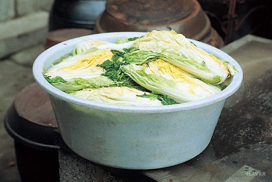 正宗韩式泡菜炒五花肉,用韩式泡菜酱做萝卜正宗做法