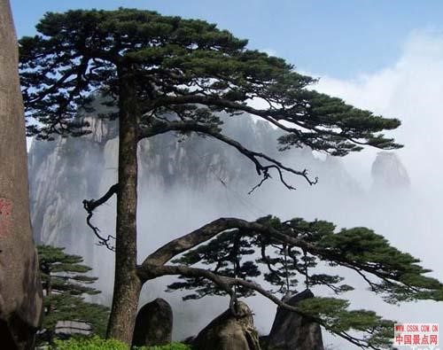 中国最著名100个旅游景点,中国100名旅游景点