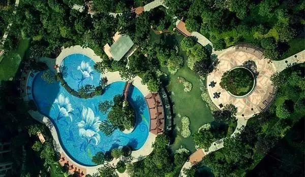 你不得不知的五大规则,你不得不知的养生的秘密