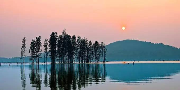 五一好去处~除了竹海善卷洞，宜兴的这些地方也很美~