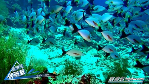 海美迪q5开箱视频,海美迪q5四代画质调整