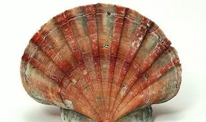 奇石的造假手段,奇石造假全过程