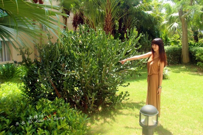 I、love、you，，SANYA~婚纱之旅