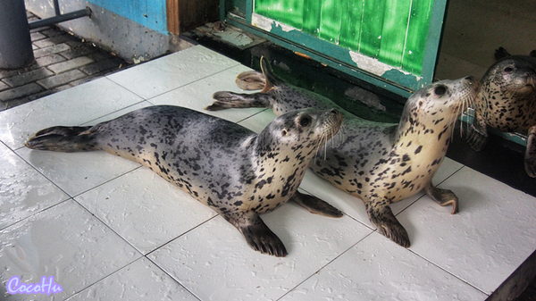 中南百草动物园,中南百草园萌宠乐园