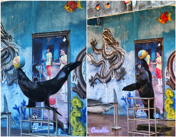 中南百草动物园,中南百草园萌宠乐园