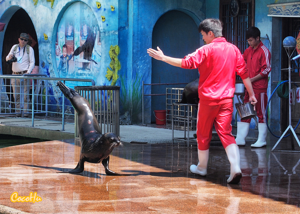 中南百草动物园,中南百草园萌宠乐园