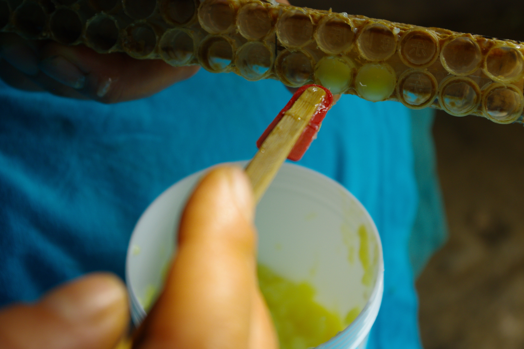 同样是蜜蜂产的，只有它不会被造假