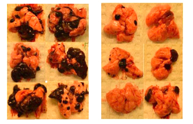 跑跑杀猎魔人,跑跑狼人杀