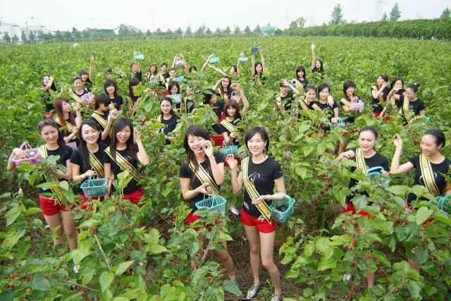 五一宁波之旅,五一旅游嘉年华