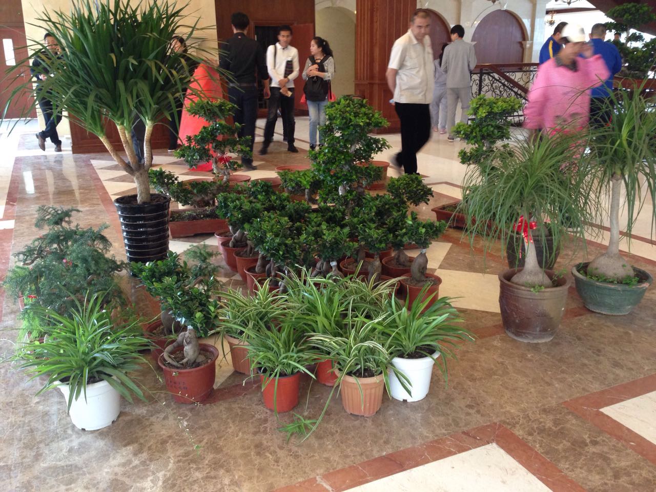 权健的新球场,权健新建足球场最新消息