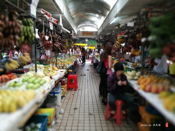 珊瑚海日本,陪你去看海底世界