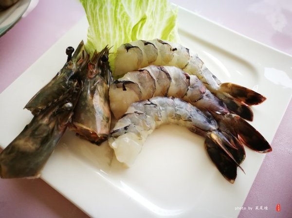 珊瑚海日本,陪你去看海底世界