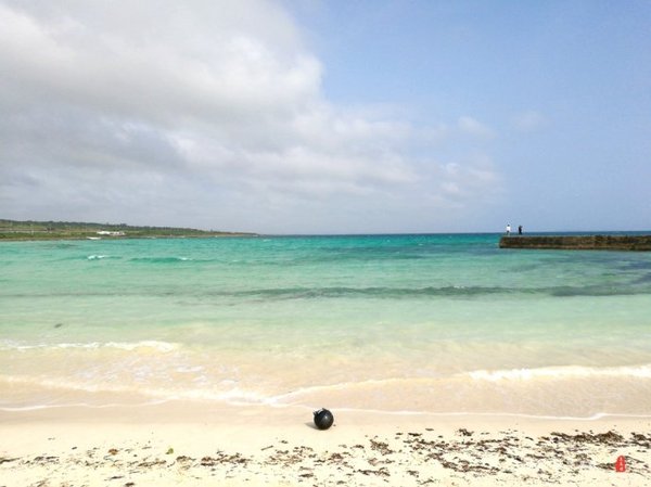 珊瑚海日本,陪你去看海底世界