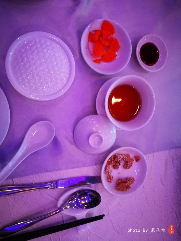 珊瑚海日本,陪你去看海底世界