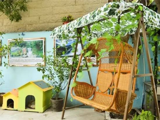 泉州市五星级酒店名单大全,泉州五星级酒店房间视频