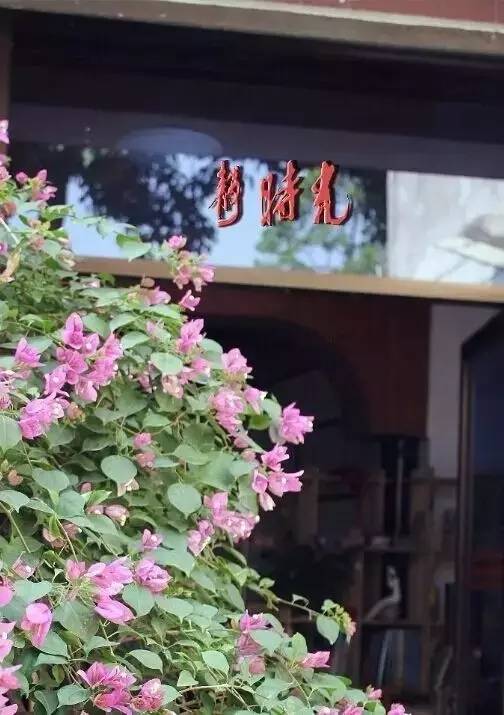 泉州市五星级酒店名单大全,泉州五星级酒店房间视频