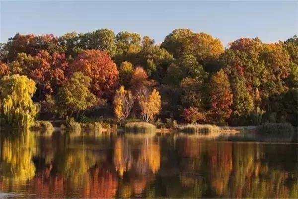 出境旅游需要身份证,出国游玩身份证办理