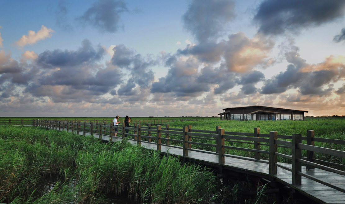 上海市崇明区青少年足球,崇明足球