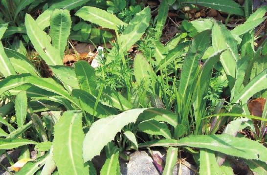 孕妈稍微吃点东西肚子胀的原因,孕妇肚子疼可以吃点儿什么