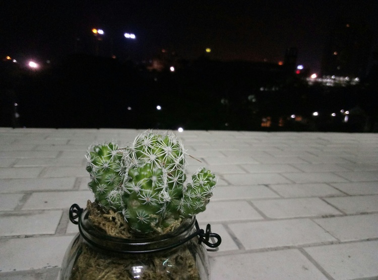 魅蓝note3金色开箱,魅蓝note3