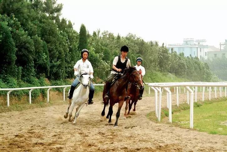 五一好去处~除了竹海善卷洞，宜兴的这些地方也很美~