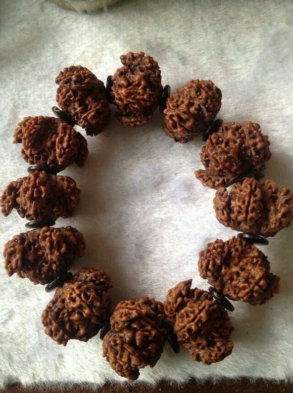 假金刚菩提子图片,真金刚菩提子鉴别真假