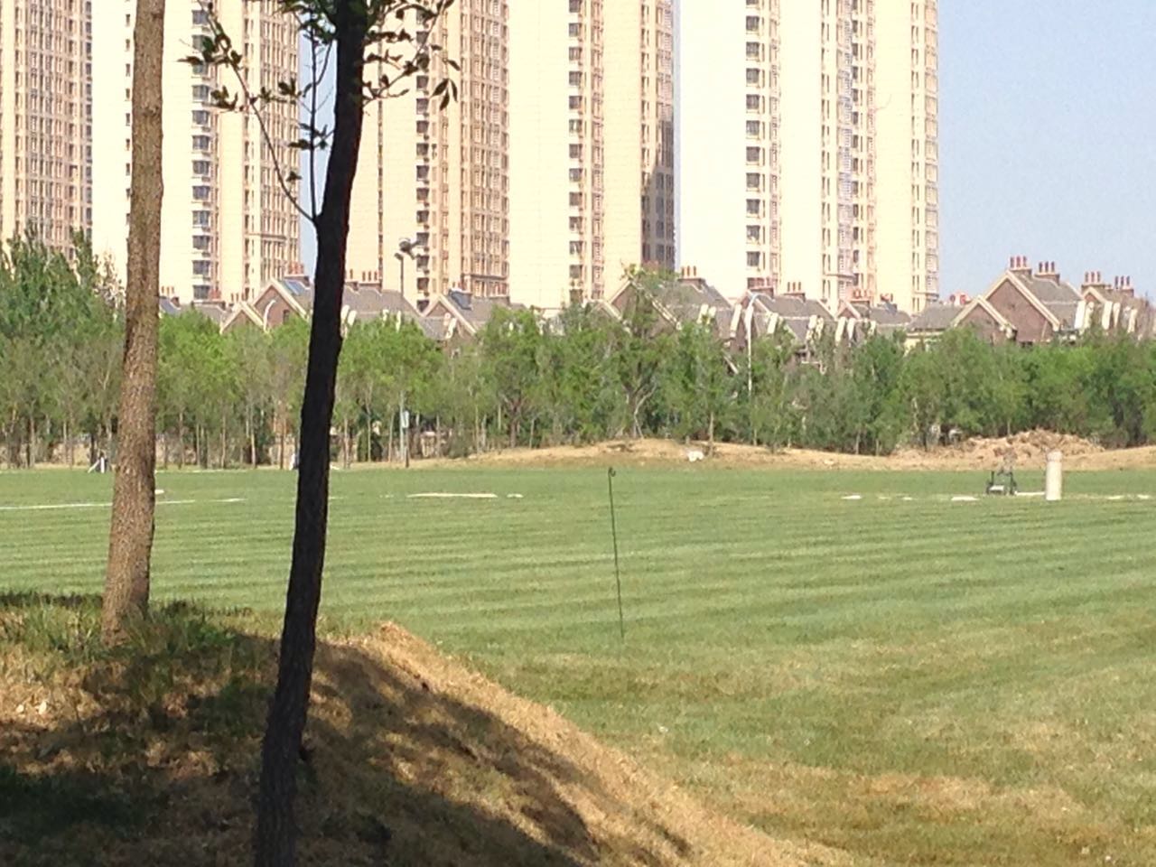 权健的新球场,权健新建足球场最新消息