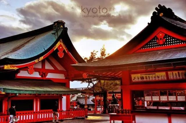 曼莉专栏｜葡萄*妞小**随妈游日本