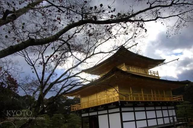 曼莉专栏｜葡萄*妞小**随妈游日本