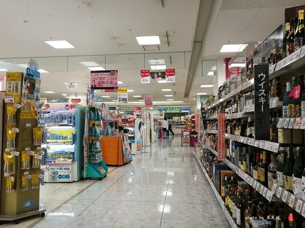 珊瑚海日本,陪你去看海底世界