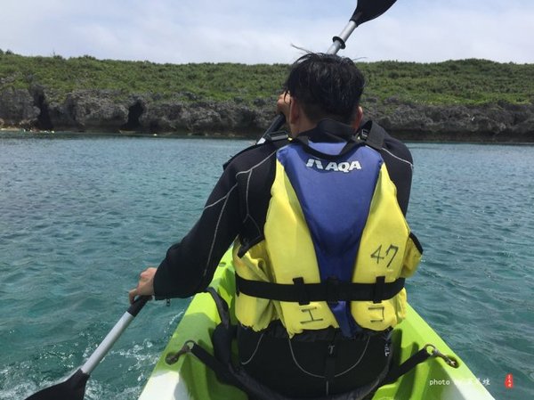 珊瑚海日本,陪你去看海底世界