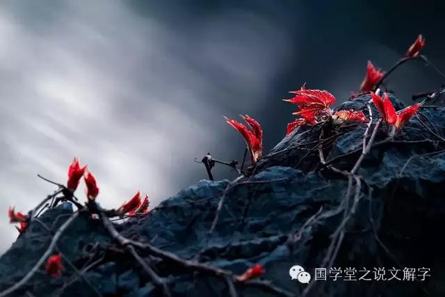 古人说何为君子,说文解字君子