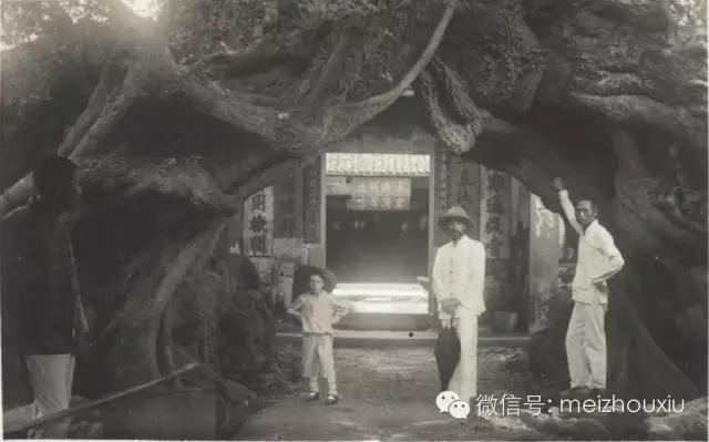 客家五州是哪里,客家五洲风情