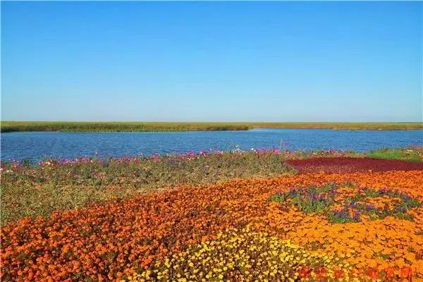 出境旅游需要身份证,出国游玩身份证办理