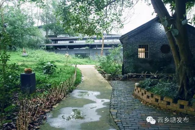 从茂名至广西一日游攻略,广西一日游攻略